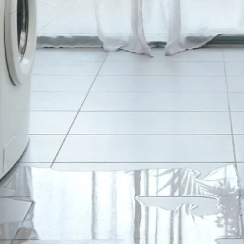 Appliance Leak Cleanup in Fuller Heights, FL