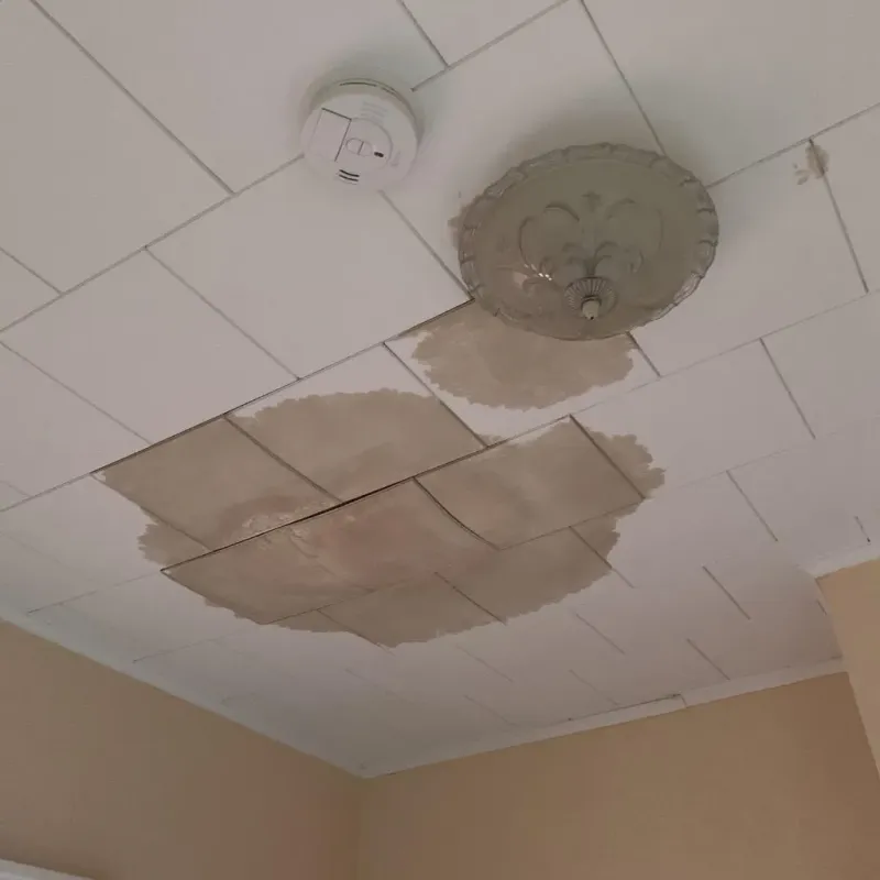 Ceiling Water Damage Repair in Fuller Heights, FL