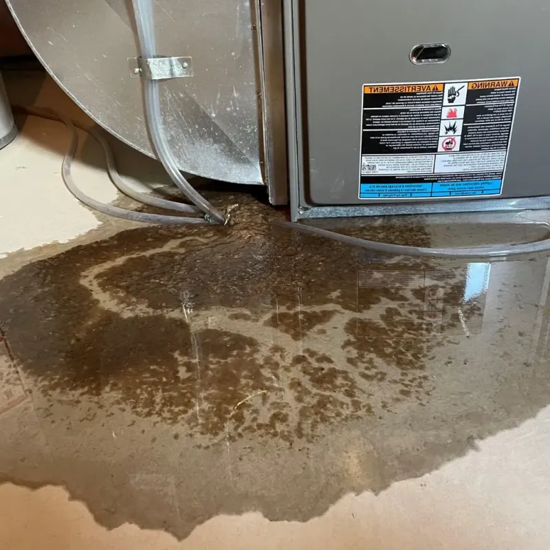 Pipe Burst and Leak Restoration in Fuller Heights, FL