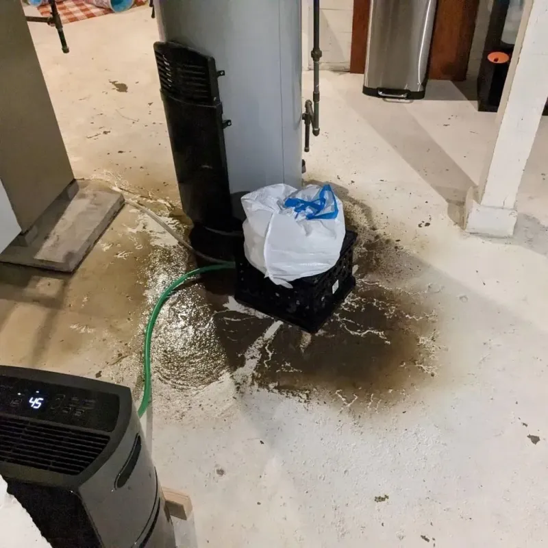 Sewage Backup Cleanup Service in Fuller Heights, FL